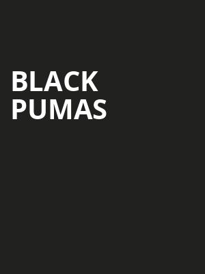 Black Pumas, Riverfront Park, Hershey