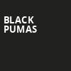Black Pumas, Riverfront Park, Hershey